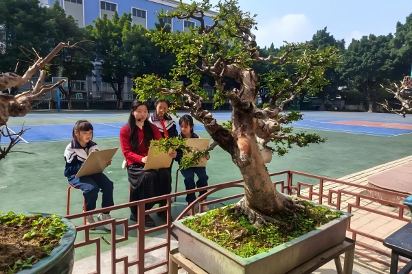 【特色社团在校园】方寸盆景天地 少年匠心传承 【特色社团在校园】方寸盆景天地 少年匠心传承
